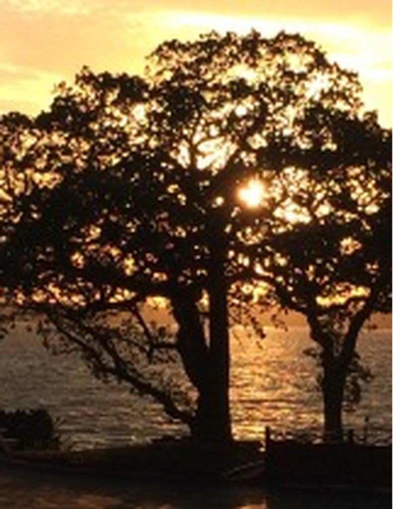 Virginia L (Miller) Bartram Profile Photo