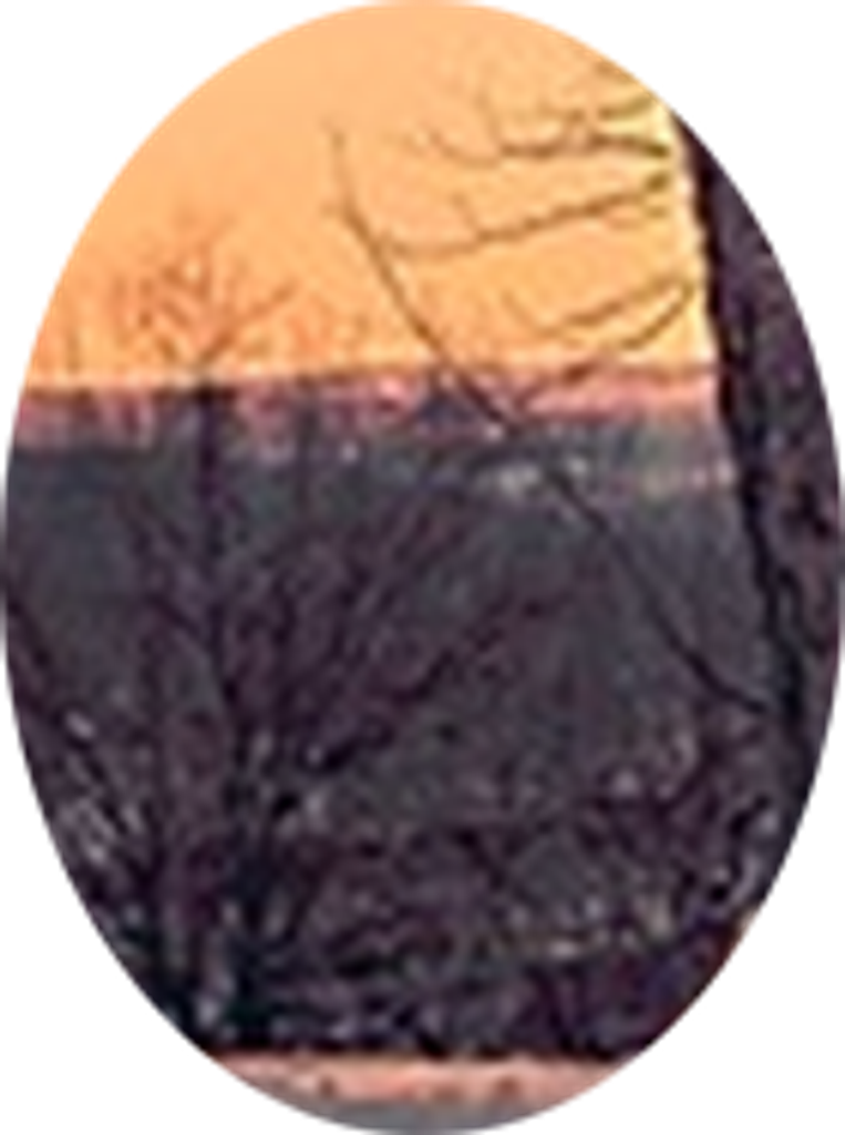 Gene Heaston Profile Photo