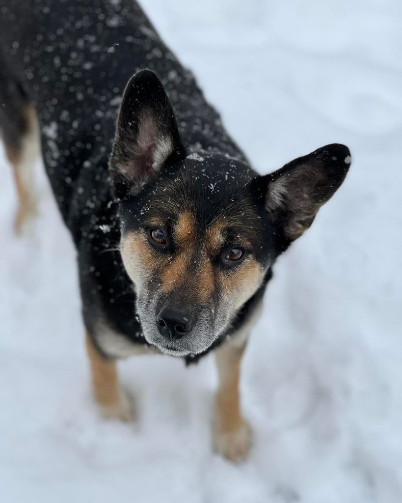 Luna Huber Profile Photo