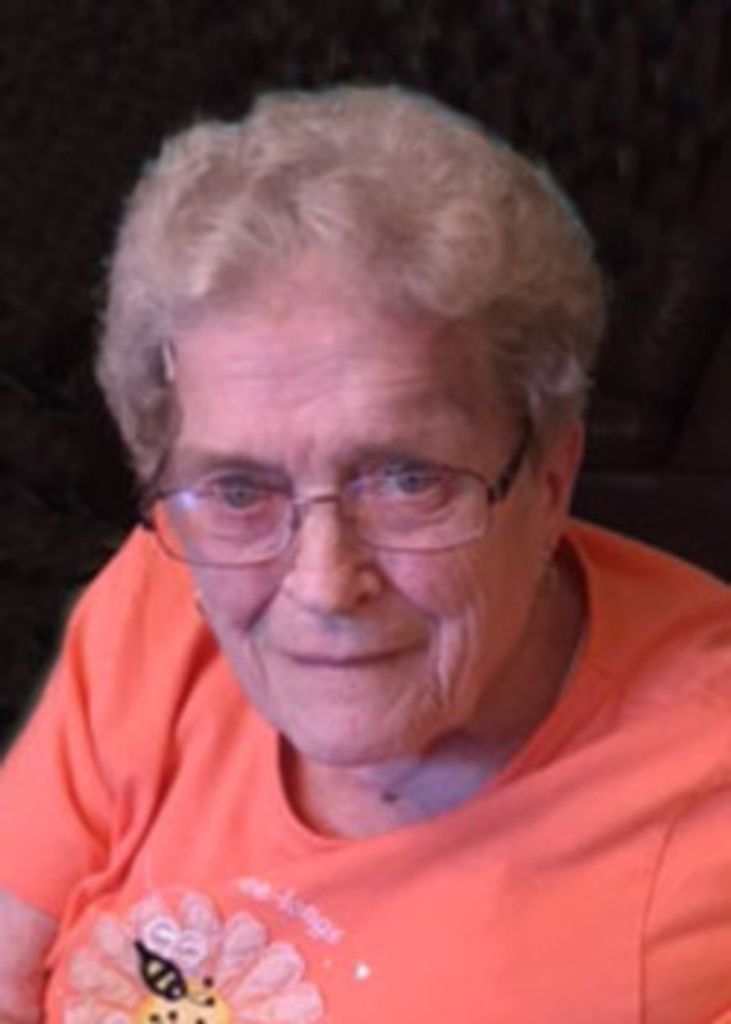 Patricia Ann Brink Profile Photo