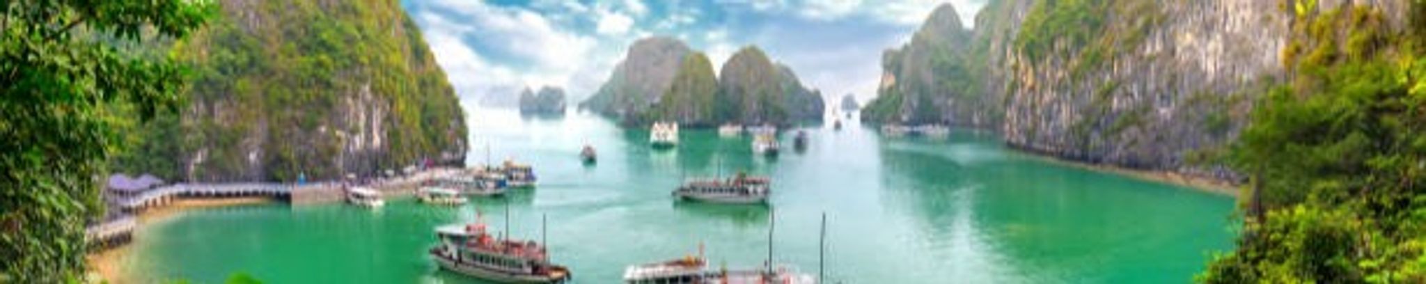 Cover photo for Ai T. Nguyen's Obituary