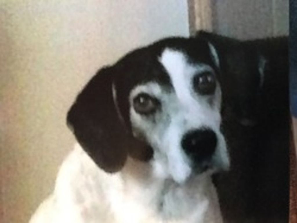 Rossco Grayson Profile Photo