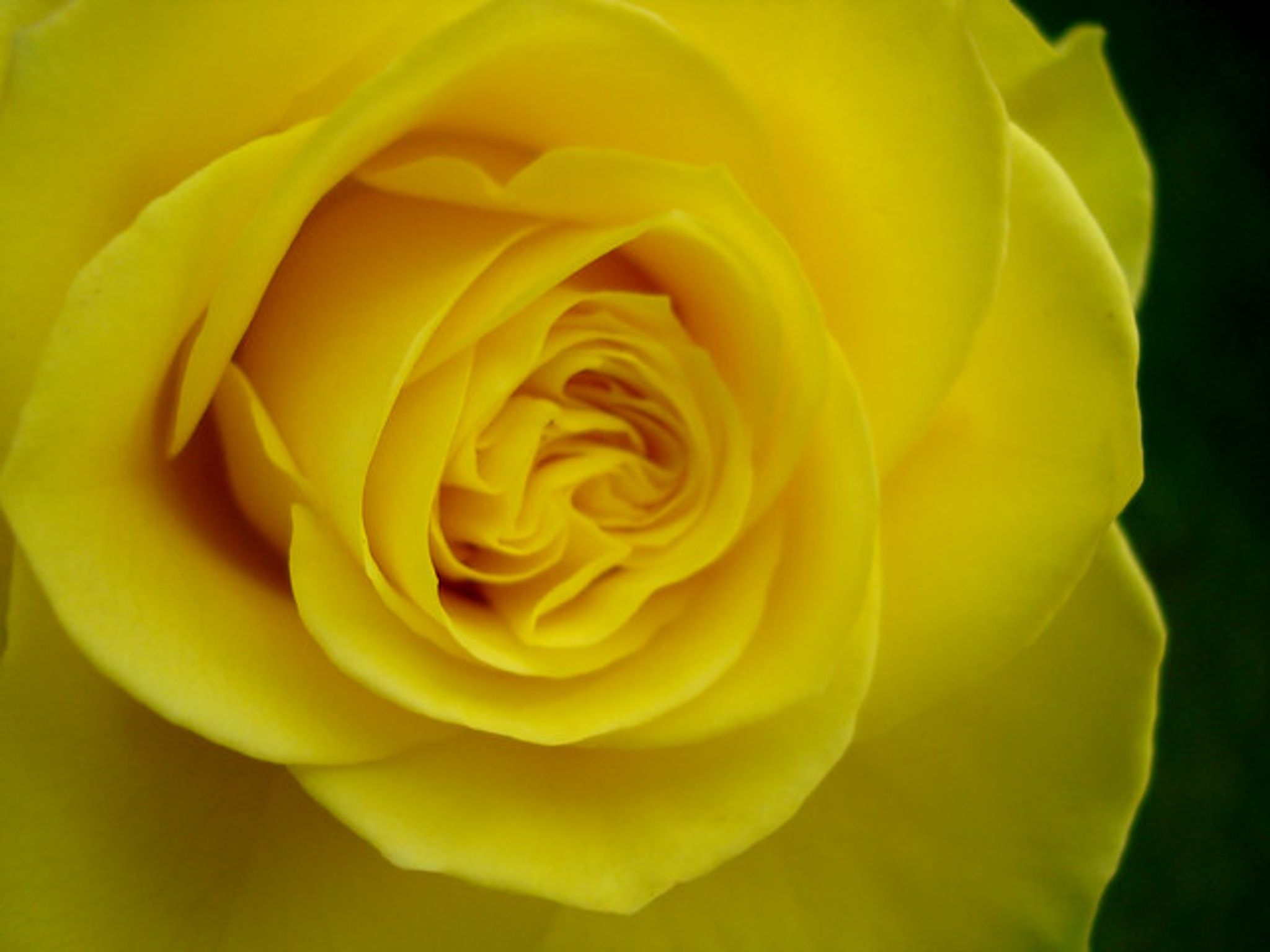 Cover photo for Marlene M. Dusing's Obituary