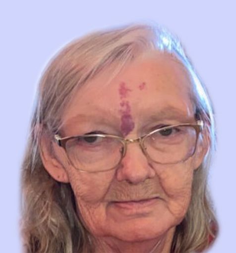Nancy Carol (Lang)  Cothren Profile Photo