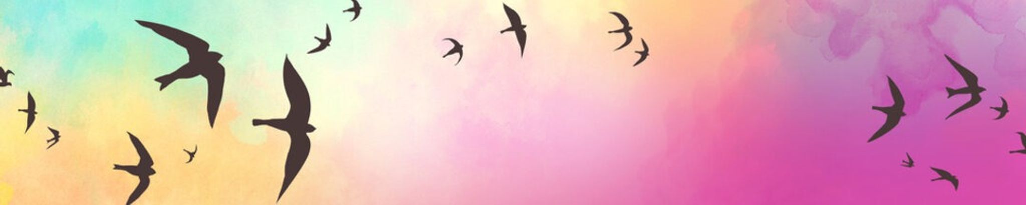 Cover photo for Nancy Jaramillo's Obituary