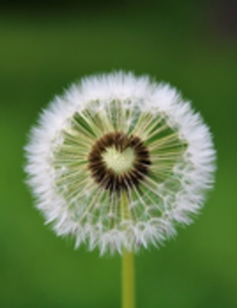 Marty Batts Profile Photo