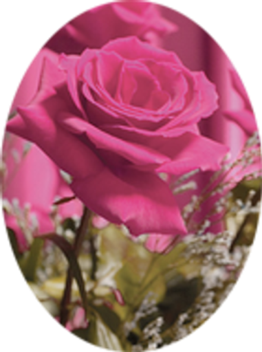 Cheryl L. Hastings Louw) Profile Photo
