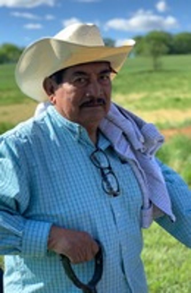 Efren David Peral-Villavicencio