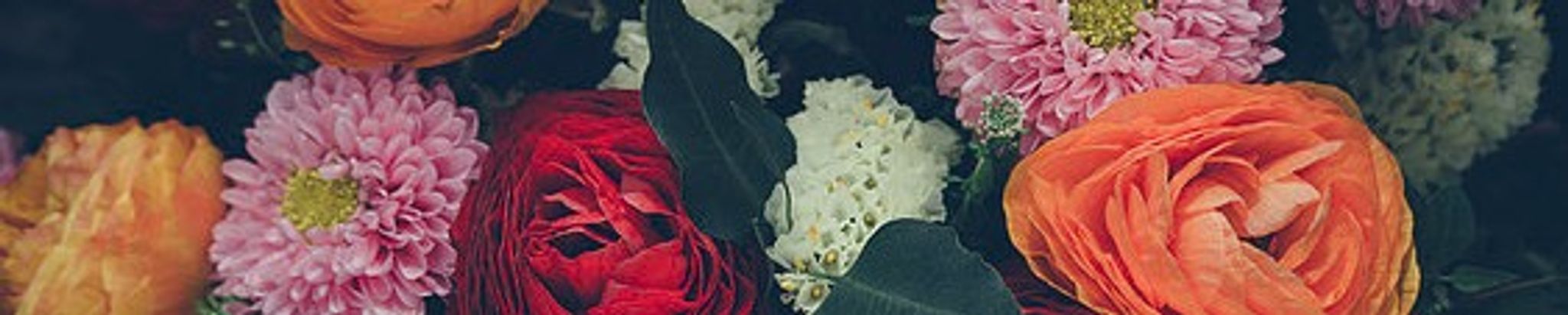 Cover for Robin J. Simons's Obituary