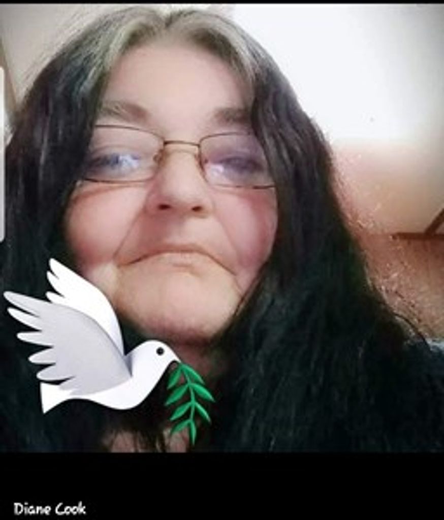 Diana Sue Cook Profile Photo