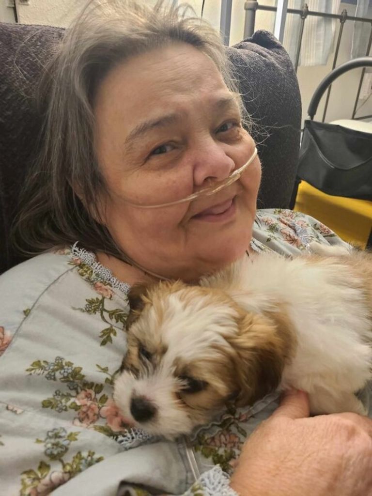 Pamela Rae Lively Profile Photo