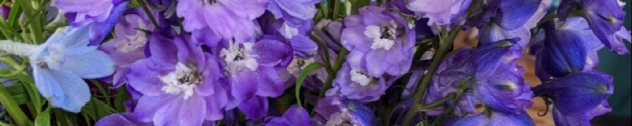 Cover photo for Jessica Staszak Abitz's Obituary