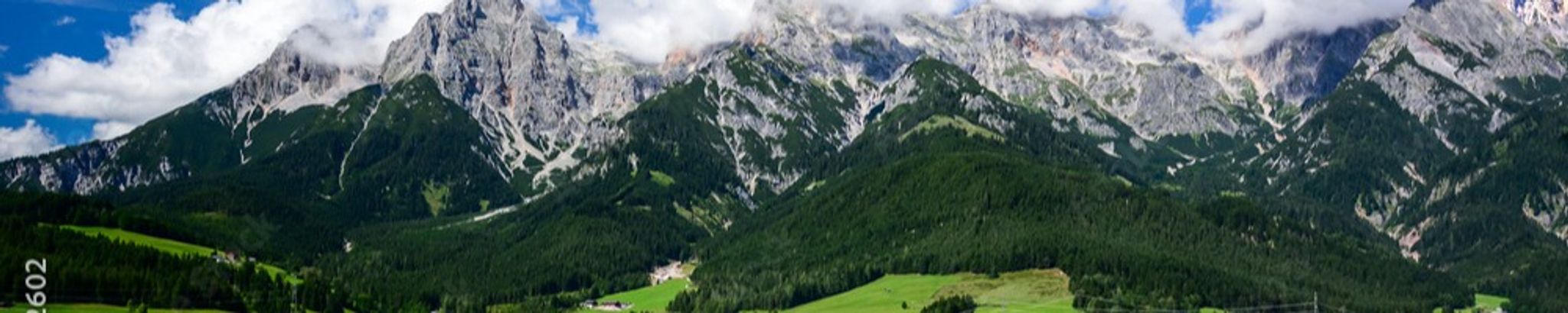 Cover for Theodora "Dorothy" Nettesheim's Obituary