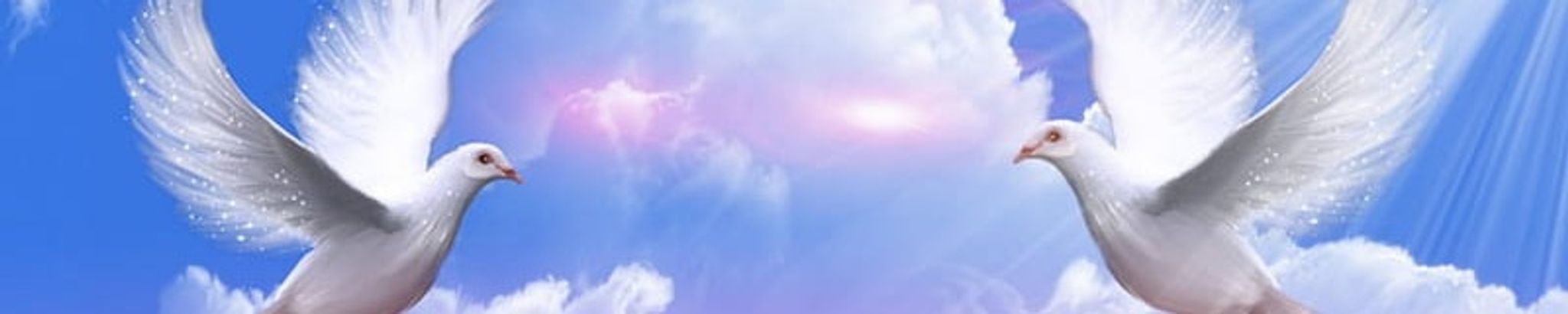 Cover photo for Inez P Broadway's Obituary