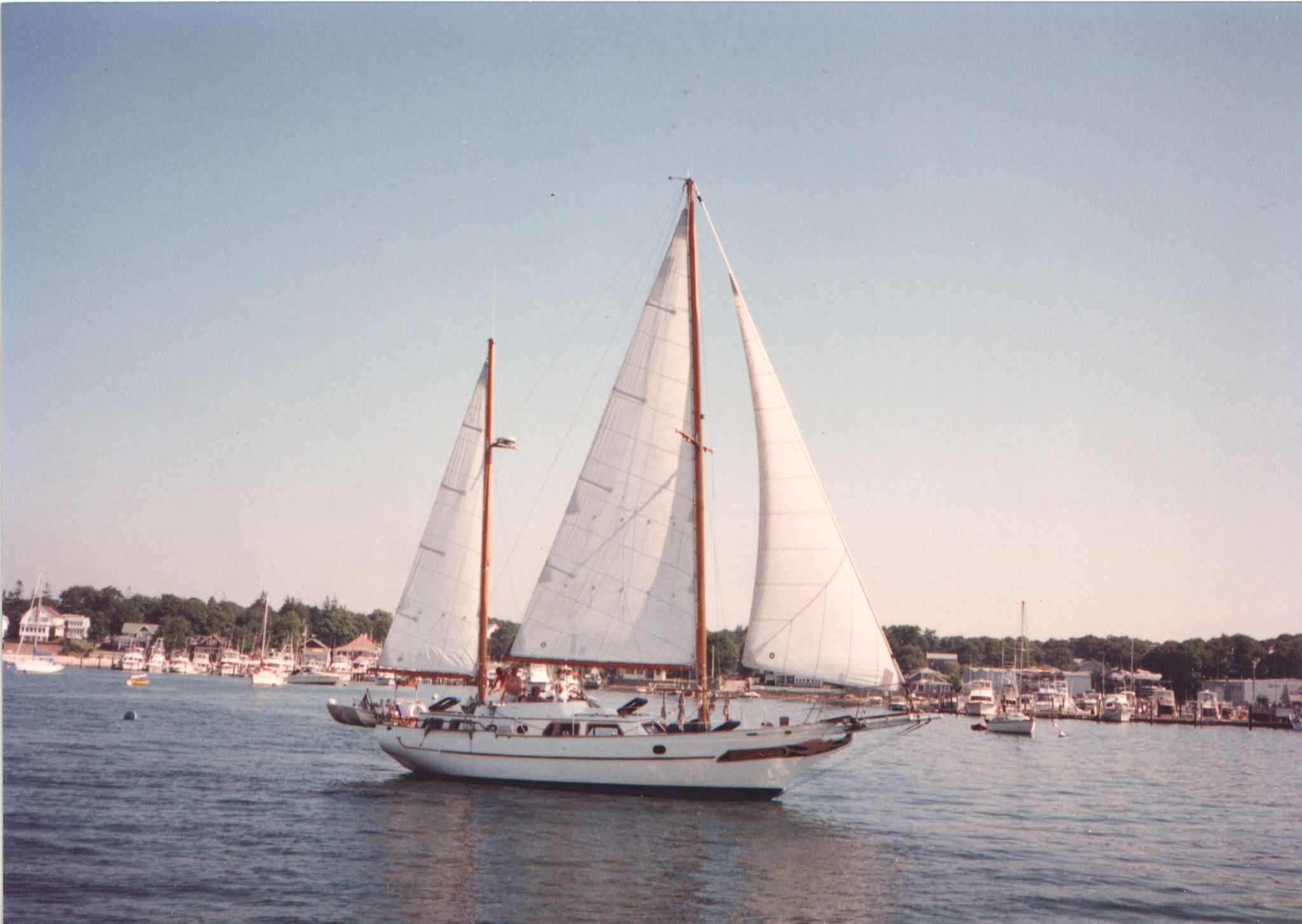 Cover for Patricia Jane Arringdale's Obituary