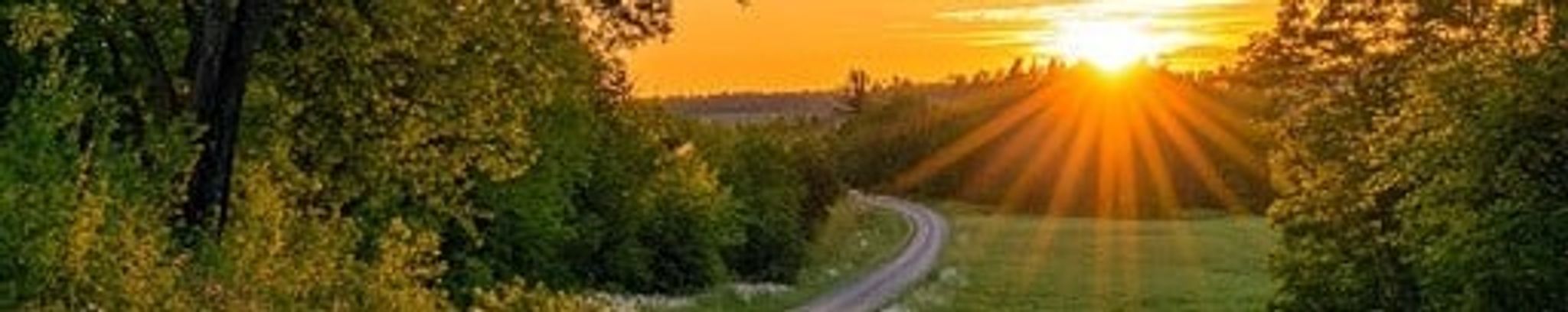 Cover photo for Dianne Beverley Thomas's Obituary