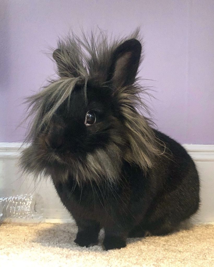 Ash Scott Profile Photo