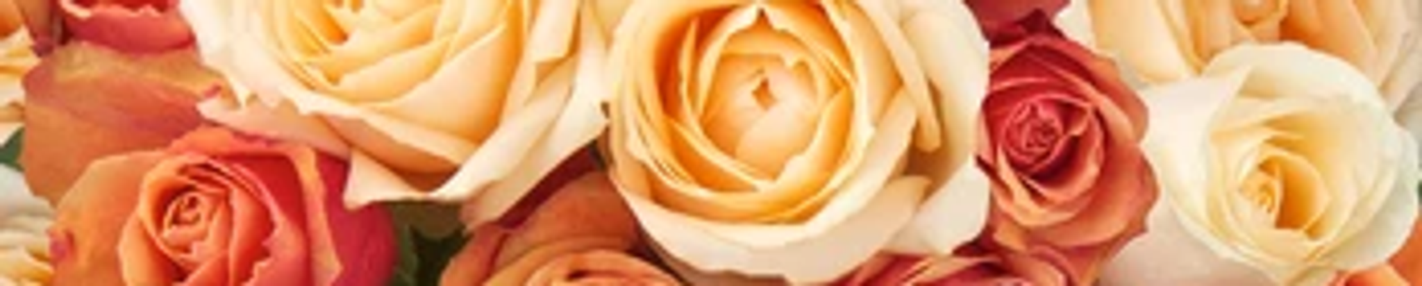 Cover for Inez Beatrice McCruter's Obituary