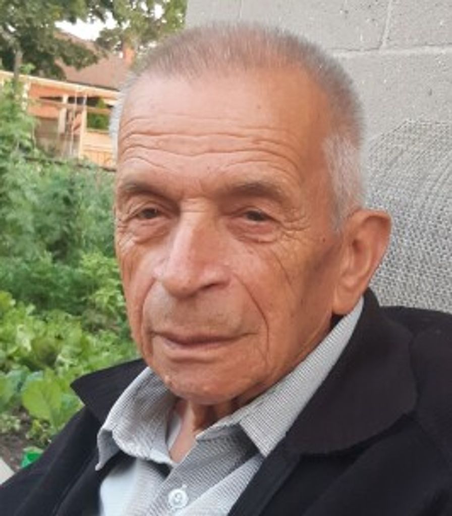 Severino Martelluzzi