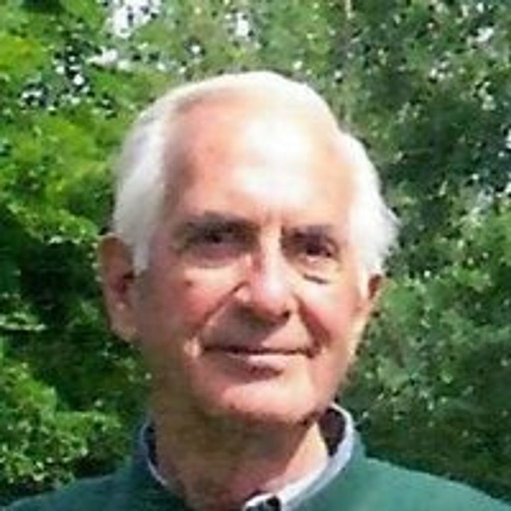 A. Pete Gay