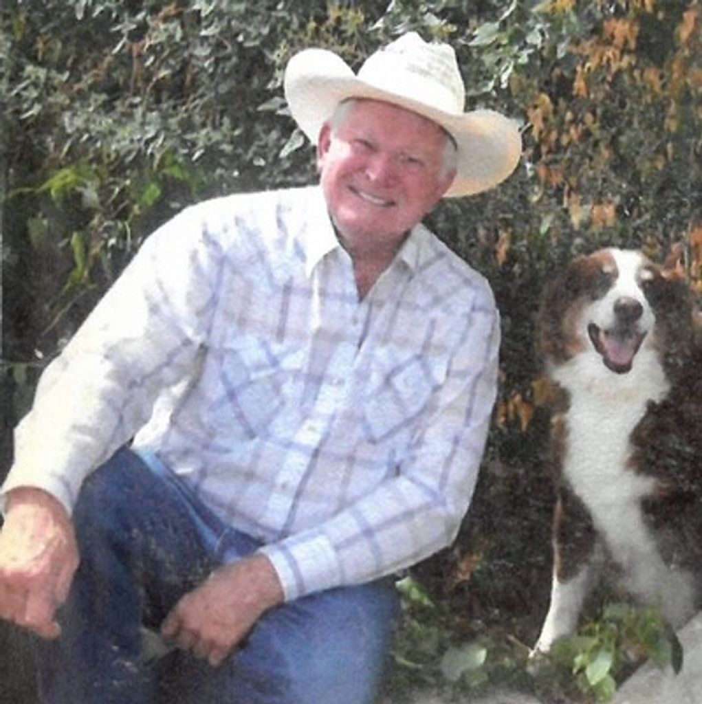 Ray Wood Profile Photo