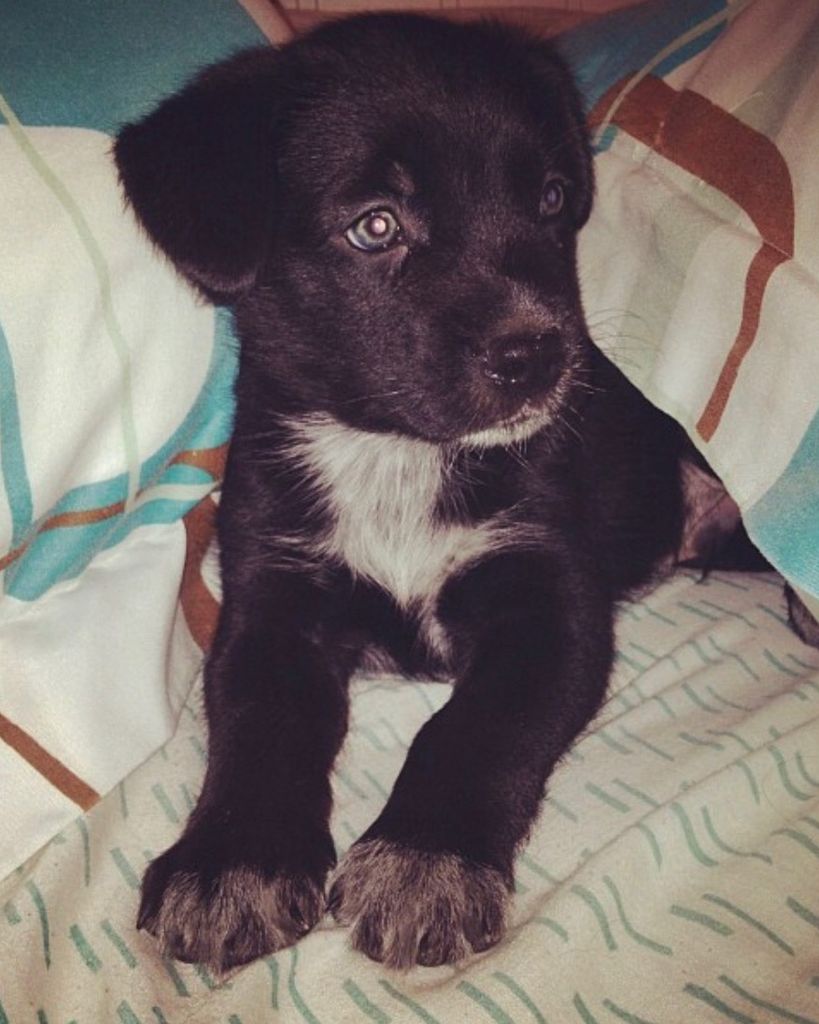 Blackie Galindo