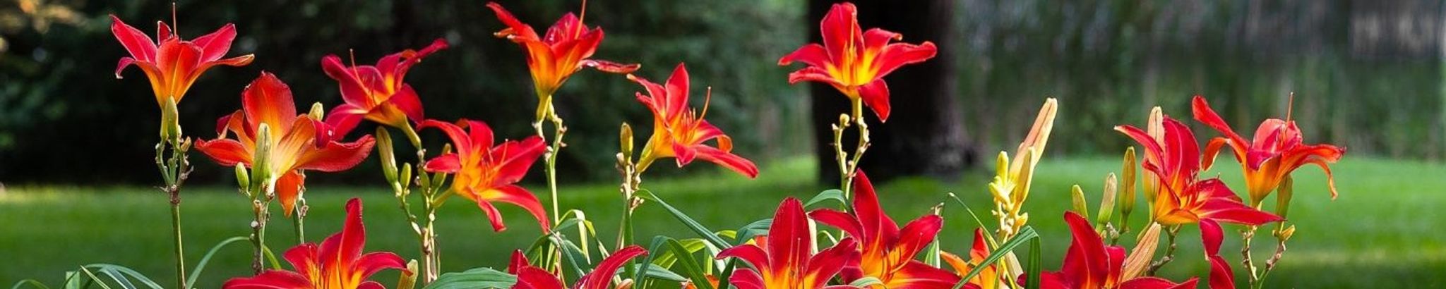 Cover for Nancy Anne (Powers) Danzinger's Obituary