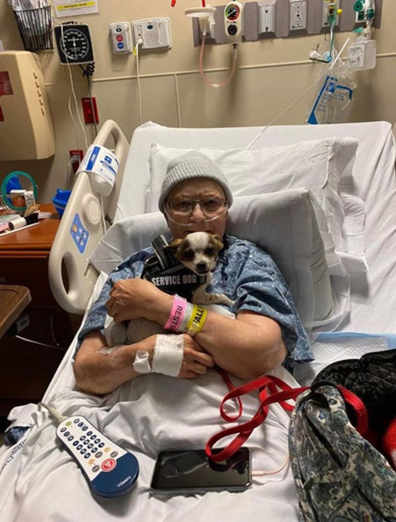 Donna Joy (Mccoy) Mclachlan Profile Photo