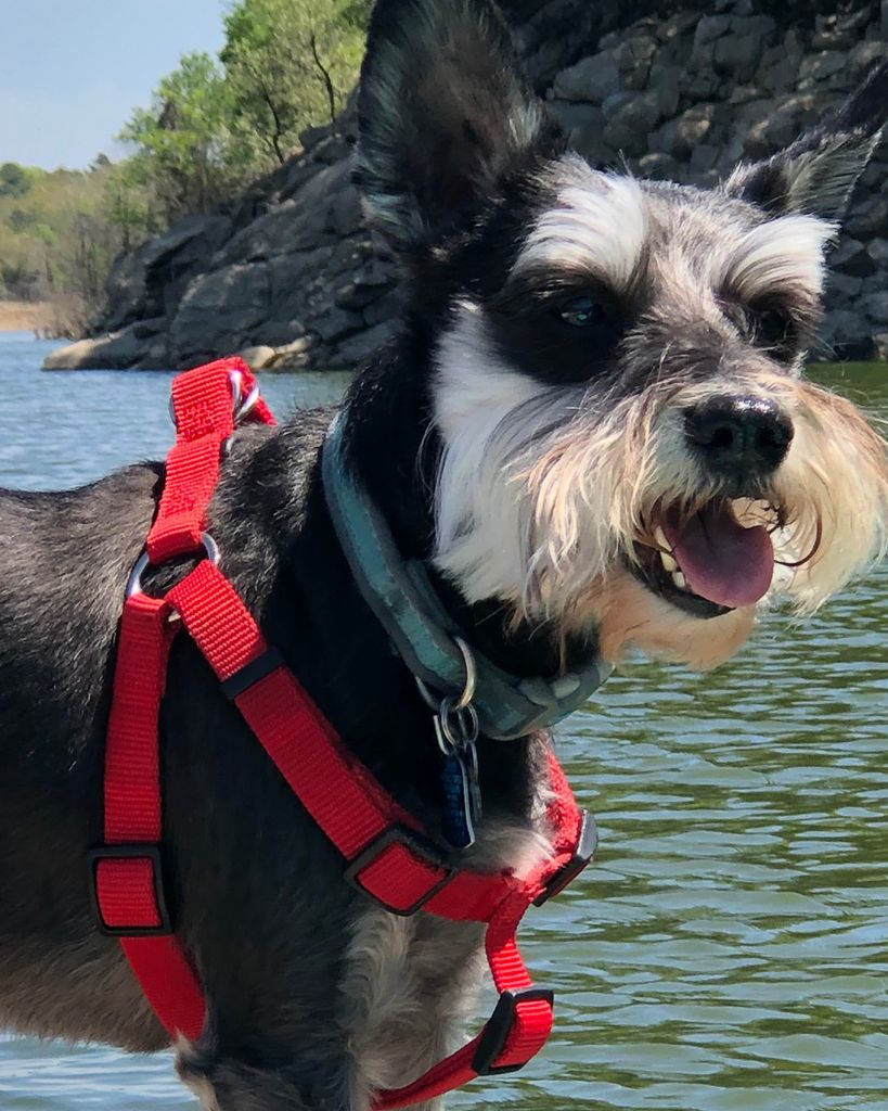 Amos Profile Photo