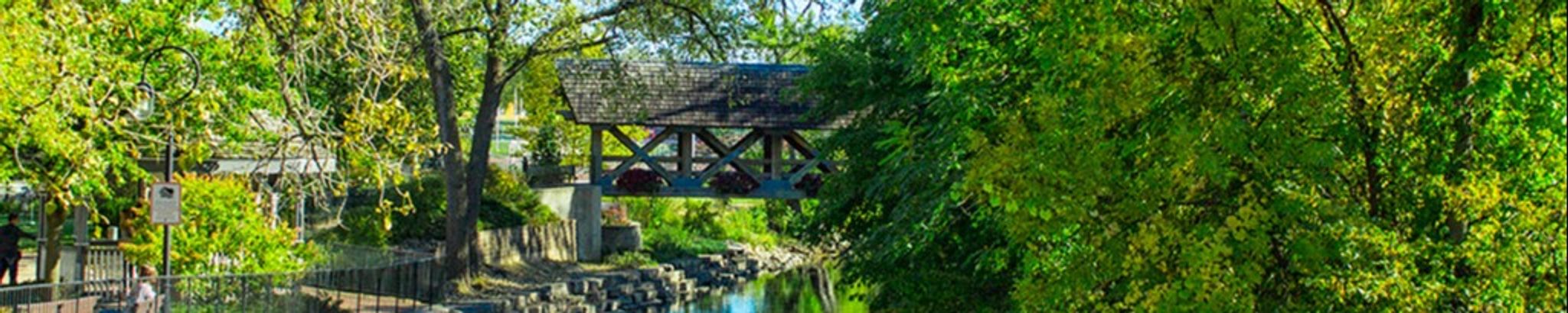 Cover for Emilia Renee Gerleve's Obituary