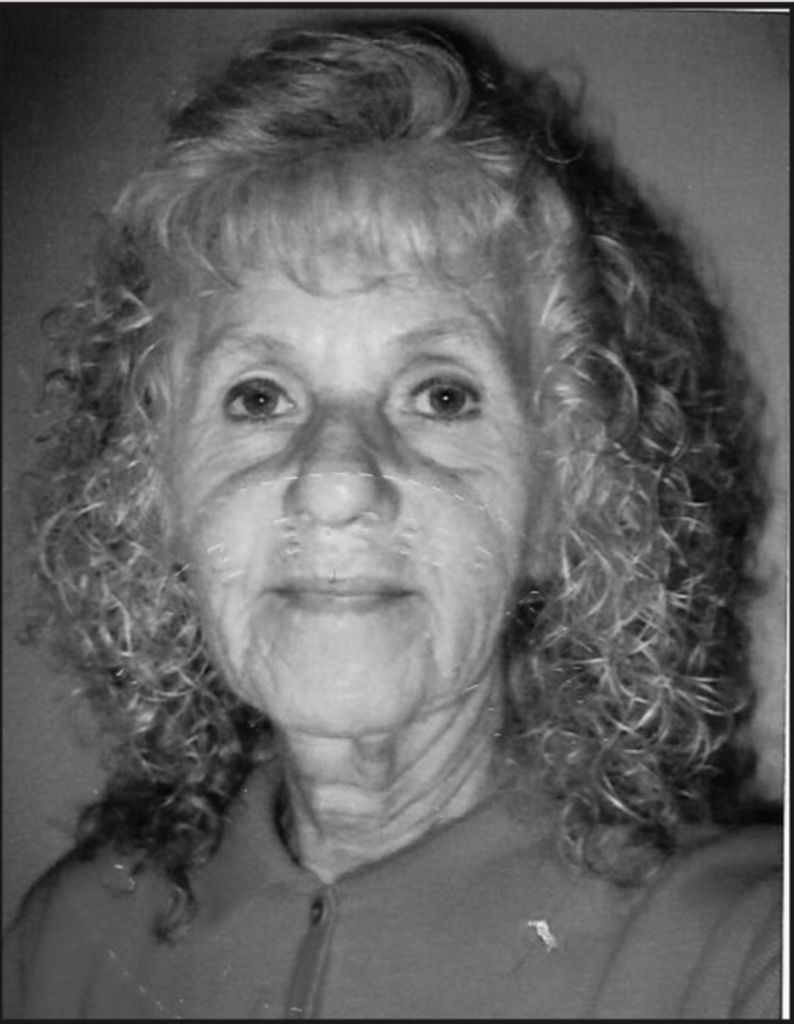 Janet S. (Downing)  Eddleblute