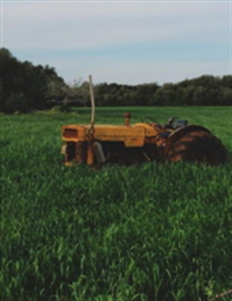 Frederick Ezell Williams Sr.