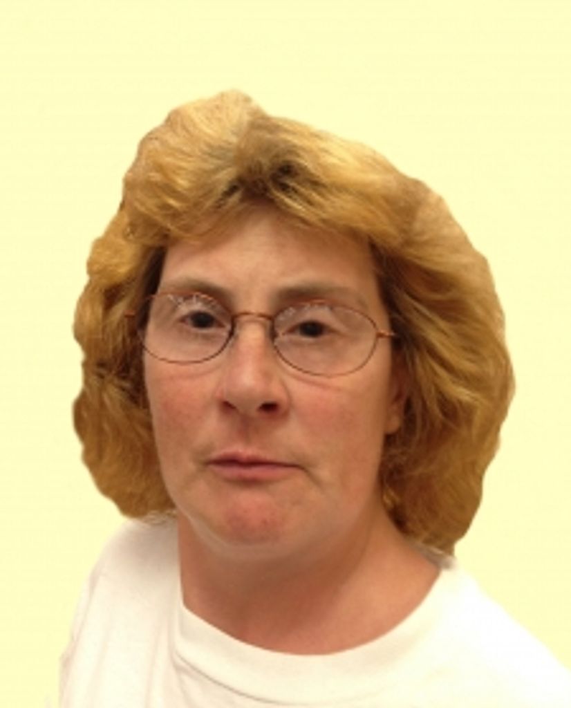 Lisa  Elaine Miles