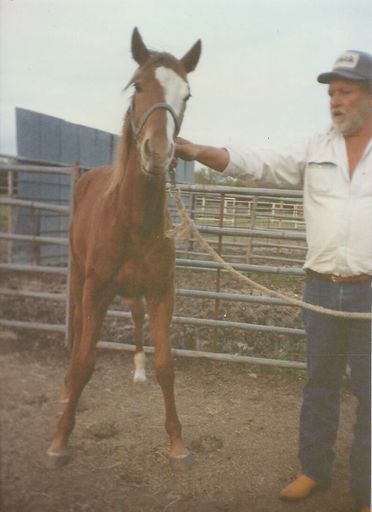 John Davis Uloth photo gallery thumbnail 52 of 107
