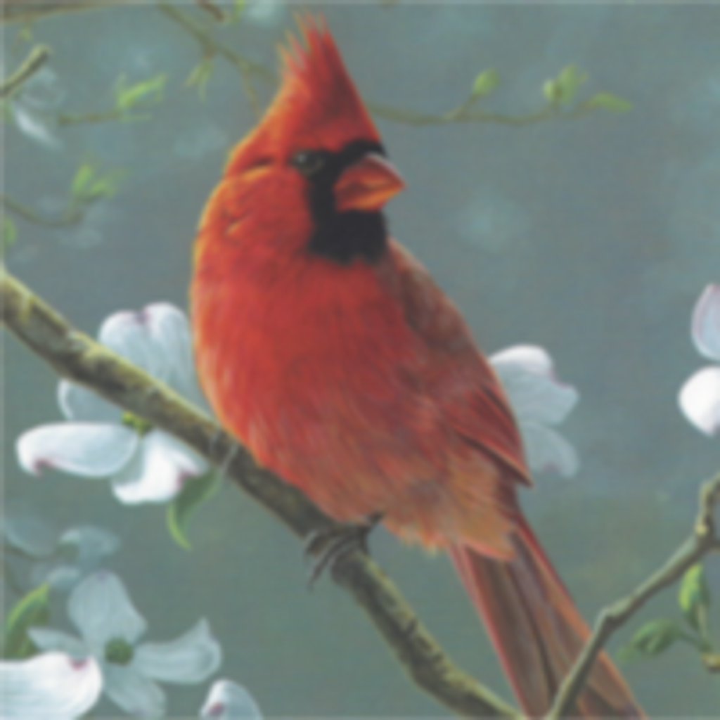 Dorothy M. Hough Profile Photo