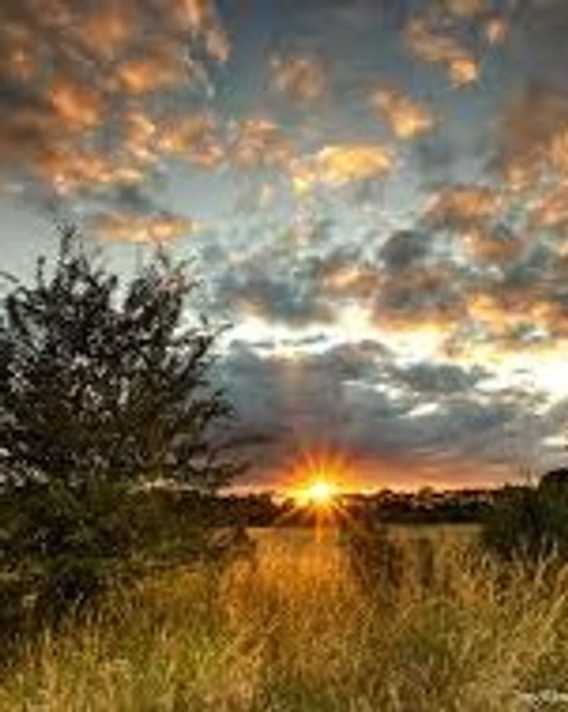 Ty Herig Profile Photo