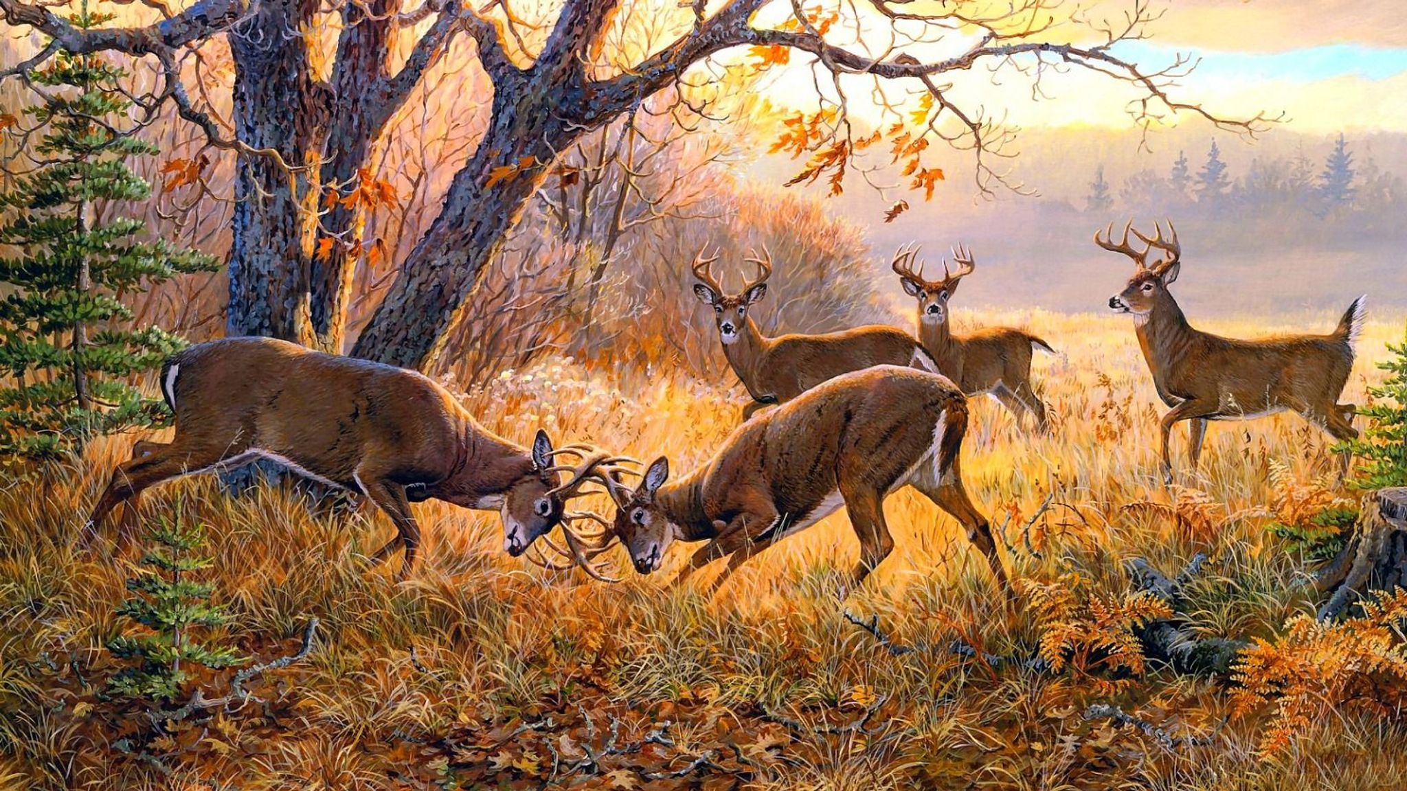 Cover photo for Jerry Duane Gaby's Obituary