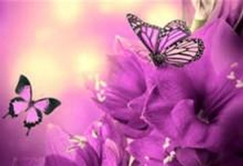 Janice Kay Thompson Profile Photo