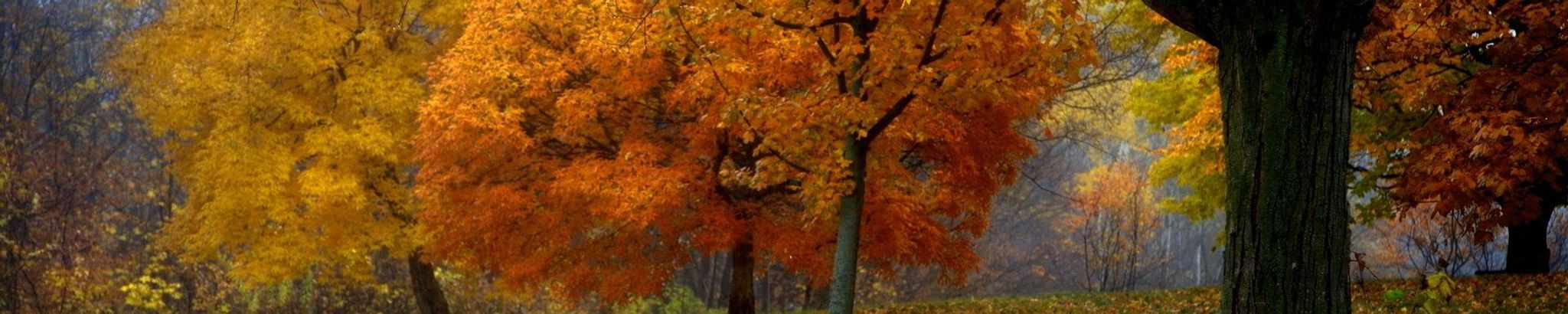 Cover for Margaret Grooms's Obituary