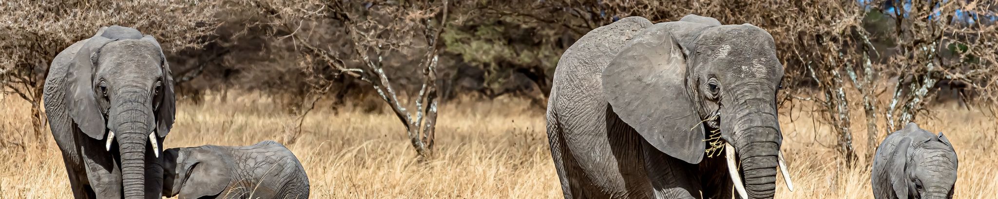 Cover for Judith Lynn MacArthur's Obituary