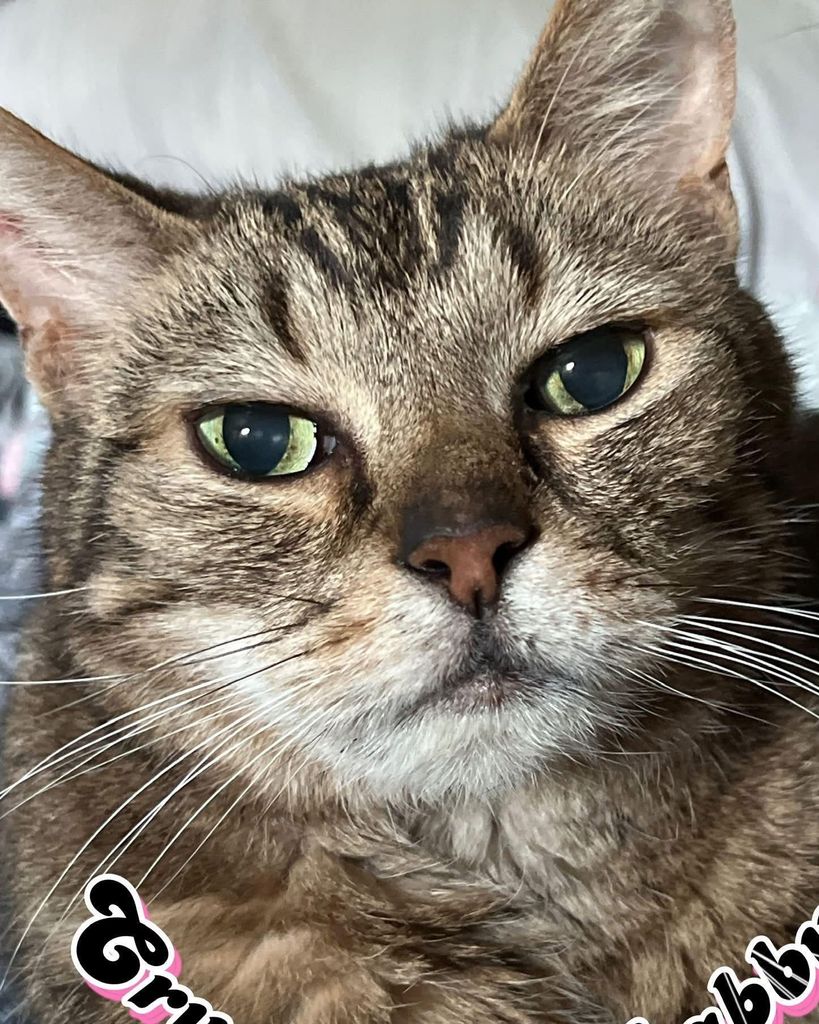 Niles Brandel Profile Photo