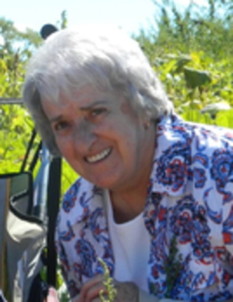 Cathryn A. (Carbone) Frink Profile Photo