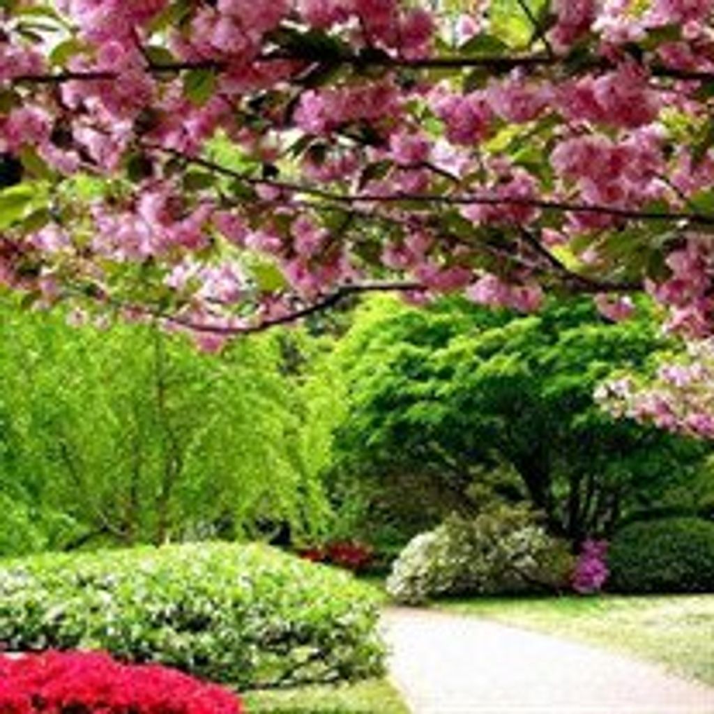 Marie  Eleanor Leviton