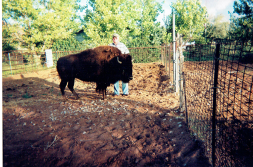 Vion LaVern Johnston photo gallery thumbnail 39 of 49