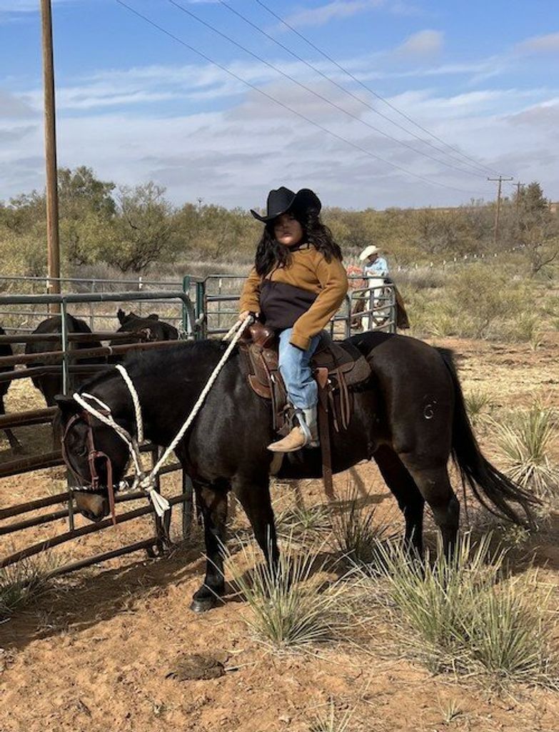 Boone  Bradshaw Profile Photo