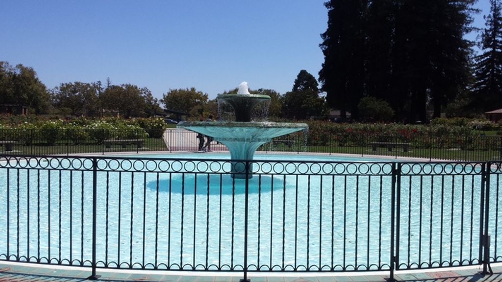 Frances - Charters Profile Photo