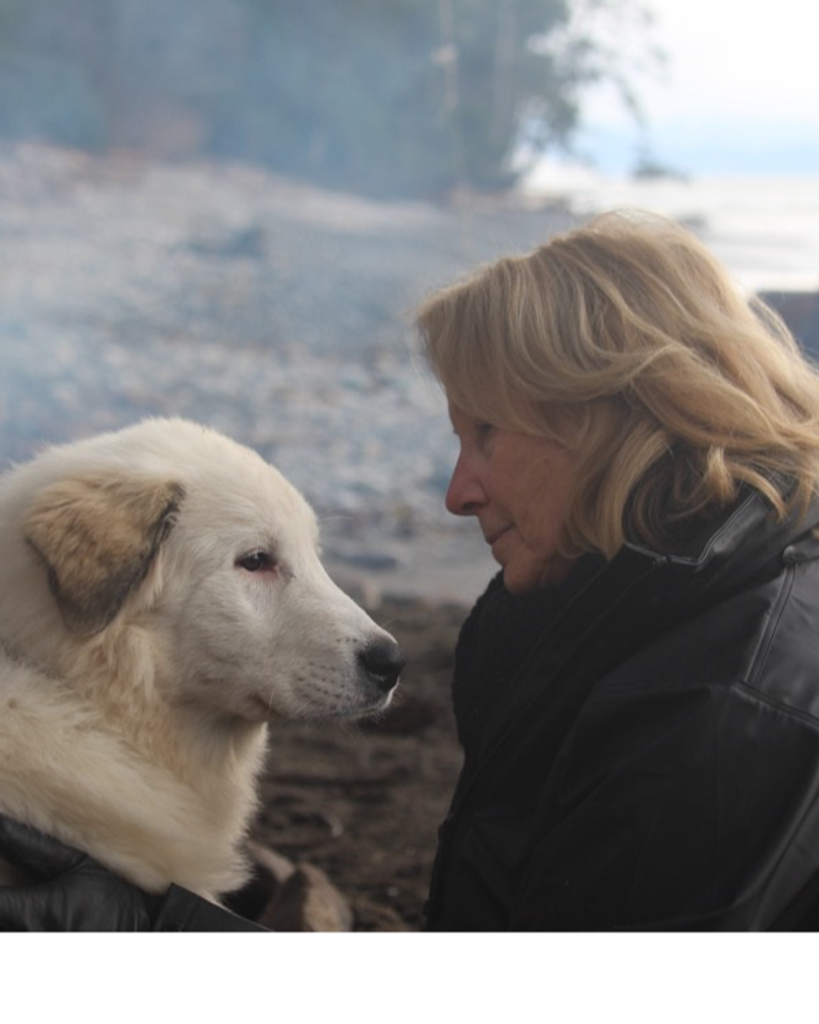 Ann Marie McGregor Profile Photo