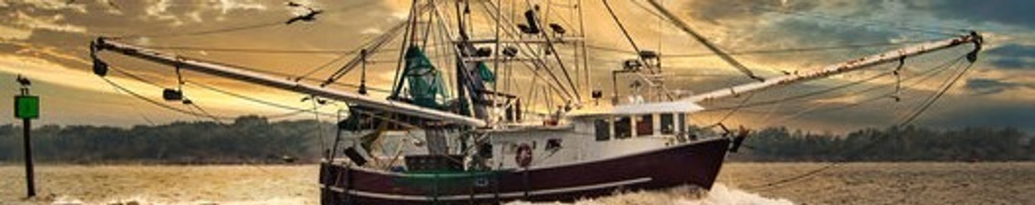 Cover for Anthony James Taranto's Obituary