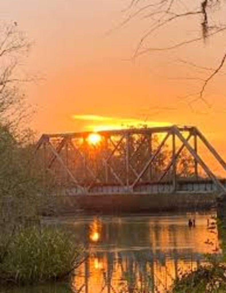 George Ricque Vineyard