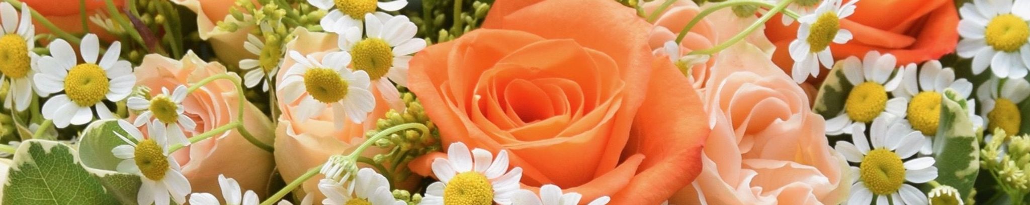 Cover photo for Gail Rossi Anderson's Obituary